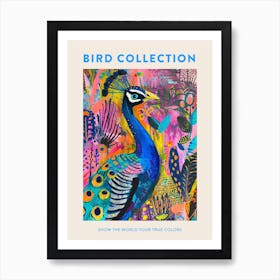 Peacock & Feathers Colourful Portrait 3 Poster Art Print