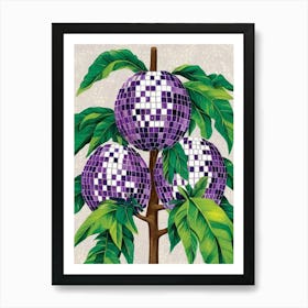 Purple Pomegranate Art Print