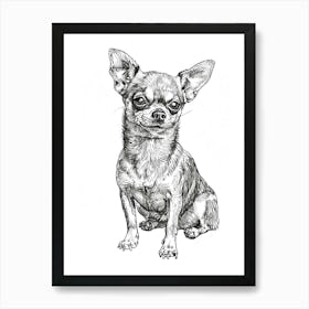 Chihuahua Dog Line Sketch 3 Art Print