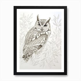 Collared Scops Owl Drawing 2 Art Print