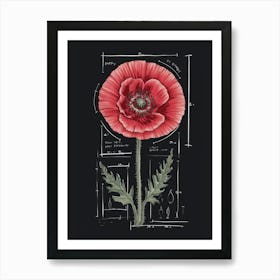 Poppy Flower Art Print