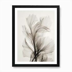 Floral Art 0005 X Ray Flowers 0004 Sephia X Ray Flowers 0022 Bp6586 Minimalist Soft Bright X Ray Scandinavian Minimali Art Print