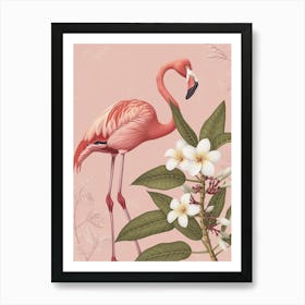 American Flamingo And Frangipani Minimalist Illustration 4 Art Print