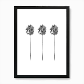 Three Palm Trees Summer Black and White Minimalist Boho Art Print Art Print