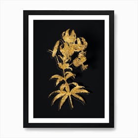 Vintage Turban Lily Botanical in Gold on Black Art Print