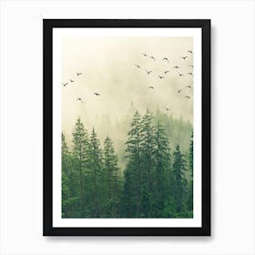 Birds In The Forest Art Print