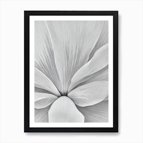 Lotus B&W Pencil 1 Flower Art Print