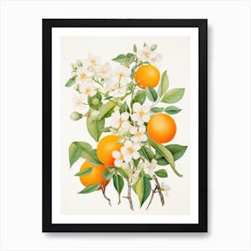 Orange Blossoms 2 Art Print