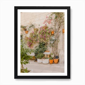 Potted Plants In A Courtyard, street in Puglia, Italy | travel photography Art Print