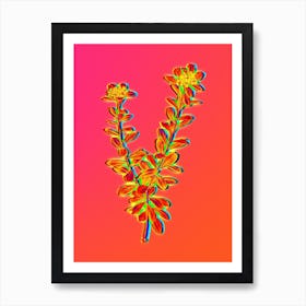 Neon Daphne Sericea Flowers Botanical in Hot Pink and Electric Blue n.0299 Art Print