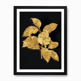 Vintage Stewartia Tree Botanical in Gold on Black Art Print