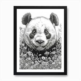 Giant Panda Cub Ink Illustration A Field Of Flowers Ink Illustration 1 Art Print