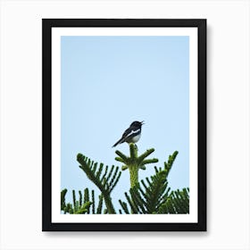 Black-And-White Warbler Art Print