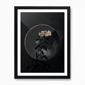 Shadowy Vintage Small White Flowers Botanical on Black with Gold n.0119 Art Print