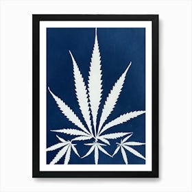 Blue Hemp Leaf cyanotype Art Print