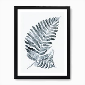Silver Lace Fern Watercolour Art Print