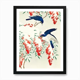 Birds In The Snow Art Print