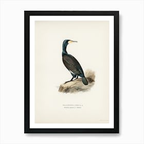 Great Cormoran, The Von Wright Brothers Art Print