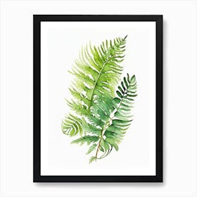 Pteris Fern Watercolour Art Print