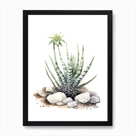 Zebra Cactus Watercolour Drawing 1 Art Print