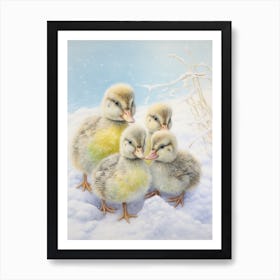 Icy Ducklings In The Snow Pencil Illustration 2 Art Print