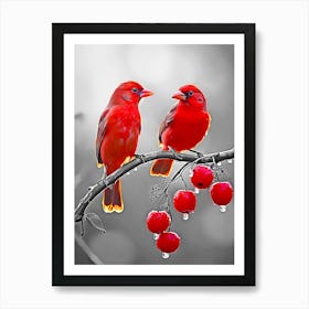 Two red birds Art Print