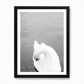 White Swan Art Print