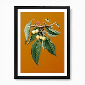 Vintage Cherry Botanical on Sunset Orange n.0063 Art Print