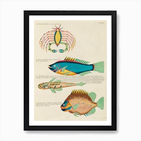 Colourful And Surreal Illustrations Of Fishes And Crab Found In Moluccas (Indonesia) And The East Indies, Louis Renard(37) Art Print