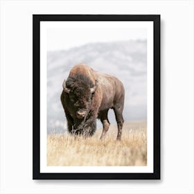 Bison Scenery Art Print