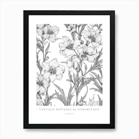 Larkspur B&W Vintage Botanical Poster Art Print