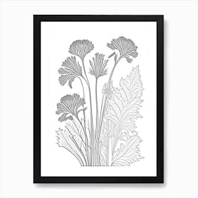 Angelica Herb William Morris Inspired Line Drawing 3 Art Print