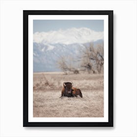 Sleepy Bison Art Print