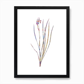 Stained Glass Siberian Iris Mosaic Botanical Illustration on White n.0349 Art Print
