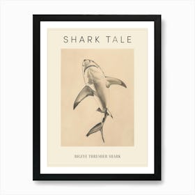 Bigeye Thresher Shark Vintage Illustration 1 Poster Art Print