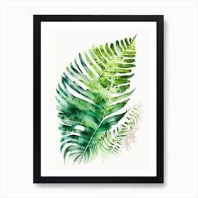 Mother Fern 3 Watercolour Art Print