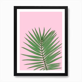 Tropical Palm Leaf Branch On Pink Background Art Print