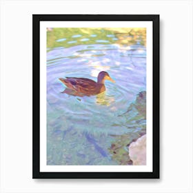 Duck In Water Art Print