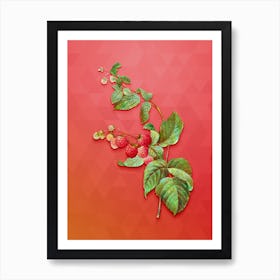 Vintage Red Berries Botanical Art on Fiery Red Art Print