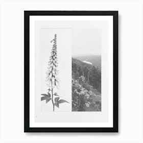 Foxglove Flower Photo Collage 4 Art Print