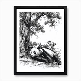 Giant Panda Laying Under A Tree Ink Illustration 4 Art Print