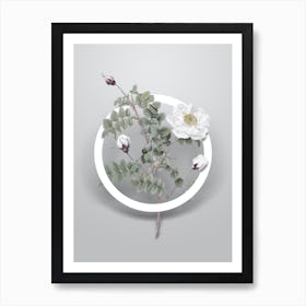 Vintage White Burnet Roses Minimalist Floral Geometric Circle on Soft Gray n.0541 Art Print