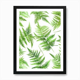 Pattern Poster Asparagus Fern 4 Art Print