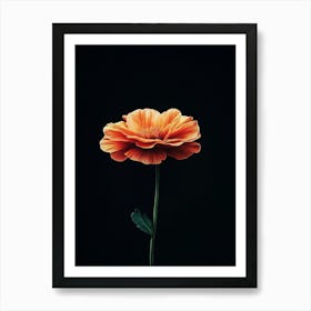 Orange Flower 14 Art Print