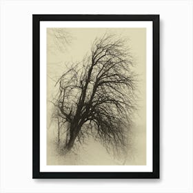 Bare Tree Art Print