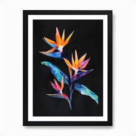 Bird Of Paradise 63 Art Print