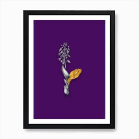 Vintage Brown Widelip Orchid Black and White Gold Leaf Floral Art on Deep Violet n.0711 Art Print