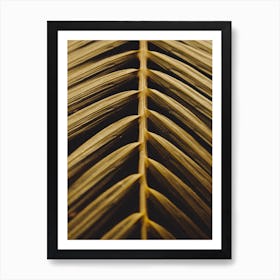 Golden Palm Leaf Art Print