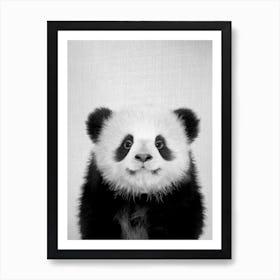 Baby Panda Bear - Black & White Poster