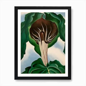 Georgia O'Keeffe - Jack-in-the-Pulpit No. 3, 1930 Art Print